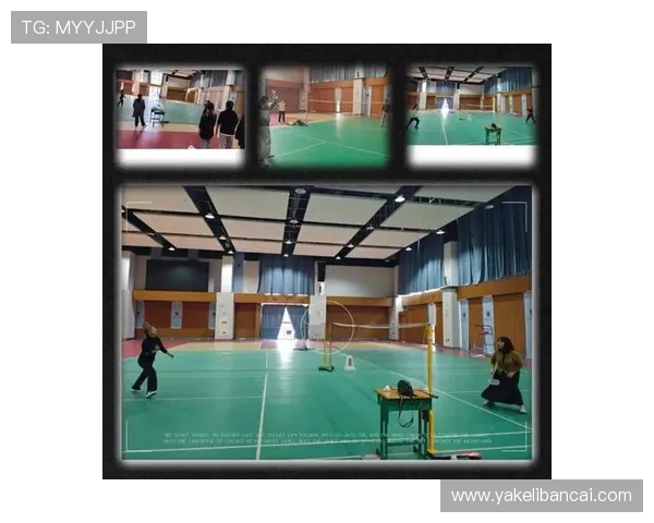 南京羽毛球队在精英赛中的技术表现分析与点评